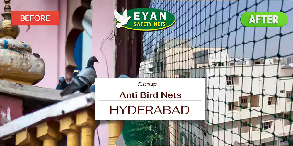 Anti Bird Nets  in Hyderabad