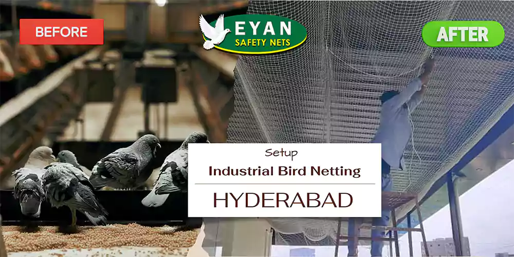 Industrial Bird Netting installation in Hyderabad