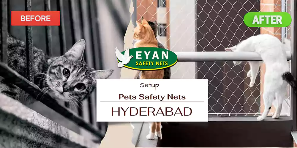 Pet Net Installation in Hyderabad