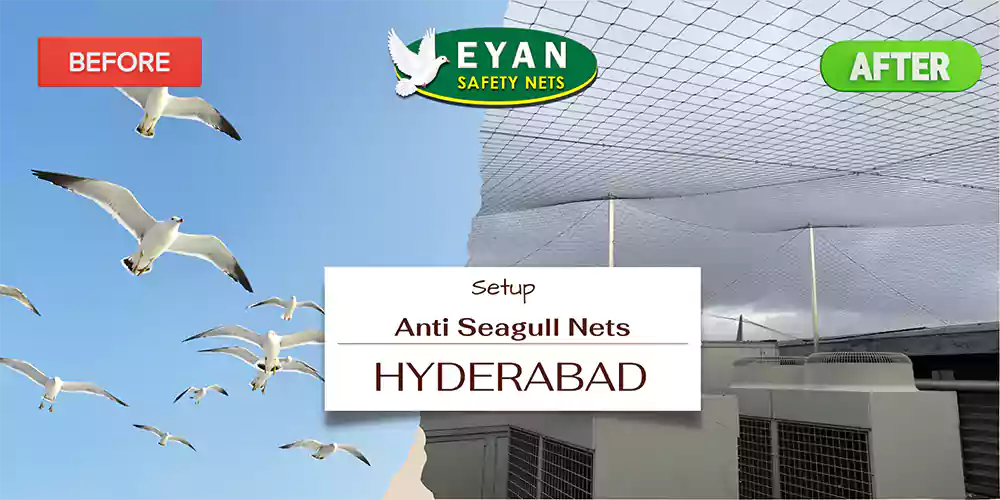 Anti Seagull Nets in Hyderabad