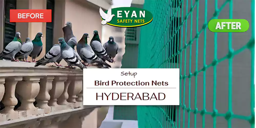 Bird Protection Nets Hyderabad