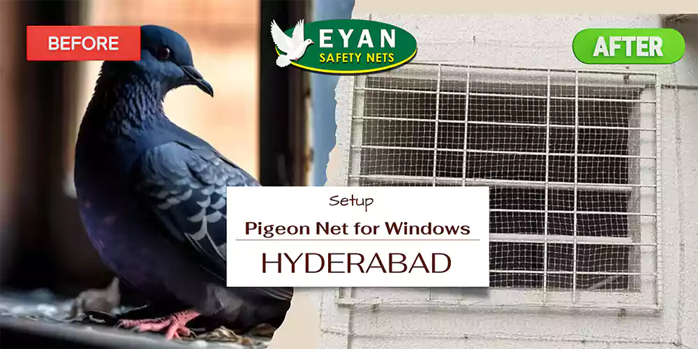 Pigeon Net for windows in Hyderabad