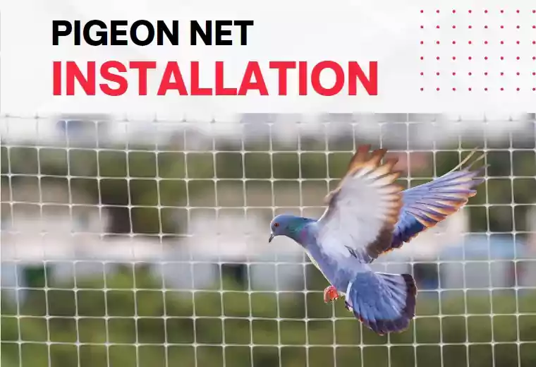 Pigeon Net Installation near in Hyderabad
