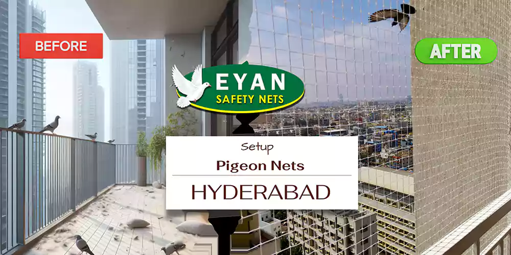 Pigeon Net Installation in Hyderabad