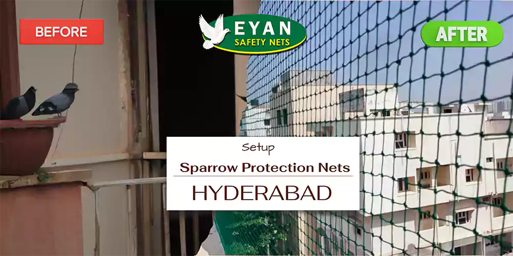 Sparrow Protection Nets in Hyderabad