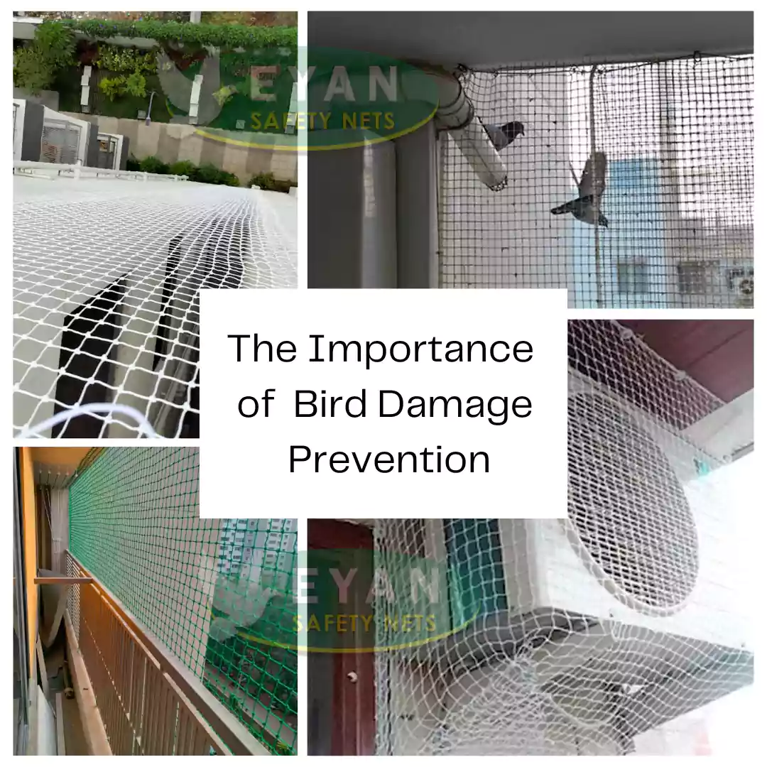 The Importance of Bird Damage Prevention