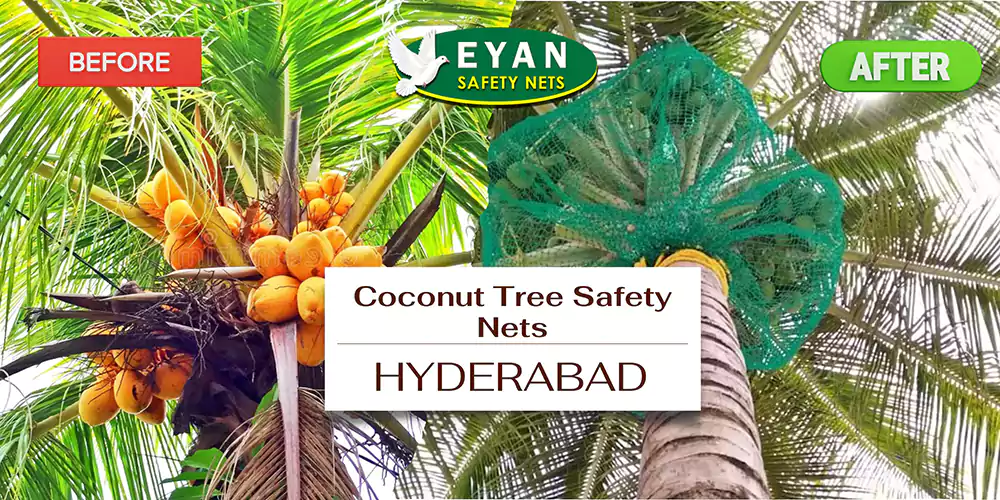 Coconut Tree Nets in Hyderabad